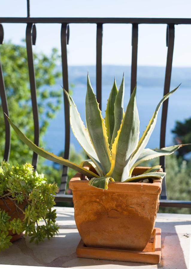 Villa Anima, Stanici, Near Omis Exterior foto